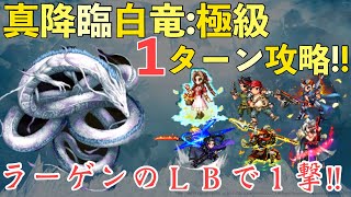 【FFBE】真降臨白竜１ターン攻略！！5.5周年ミッションクリア例！！