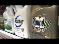 Jury: Monsanto to pay $2 billion in weed killer cancer case