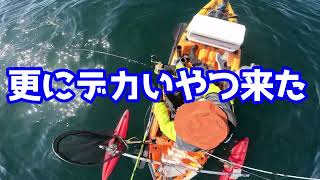 足漕ぎカヤックにエンジン搭載で今回はBIGな鯛を含めて５目達成（23年 ３浮目）