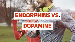 Endorphins Vs Dopamine