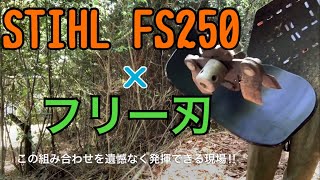 【草刈り】スチール草刈機FS250にフリー刃を付けて若い雑木林をスッキリさせる‼︎これほどフリー刃を活躍させるのに適した現場はない‼︎カバーはマキタさんシュレッダーガード！