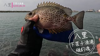 【磯釣】下罟子漁港釣遊｜軟竿細線的樂趣｜星點臭度來作伴｜2023/04/27