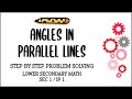 Secondary 1/ IP 1 Mathematics: Angles in Parallel Lines