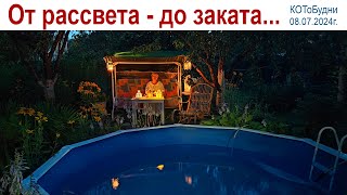 А как Вы отметили День Семьи, Любви и Верности?  КОТоБудни от 8 июля 2024 г.