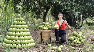 Harvest Sour Ear Fruit Go market sell & Processing & preserving - Cooking with daughter - Daily life