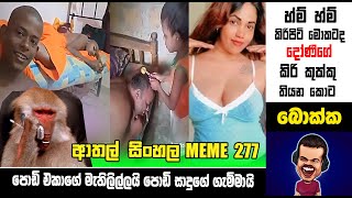 කිරිපිටි මොකටද දෝණිගේ කුක්කු තියන කොට | meme 277 | sl meme | sri lankan sinhala meme | sadeeyaa meme