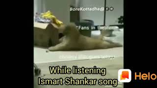 While listening Ismart shankar song