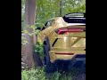 He get urus off roading by Golden Lamborghini! #shorts #cars #cleancar #supercars #lowrider