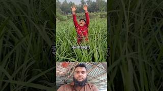 কুরআনের শাসন দেখতে চাই