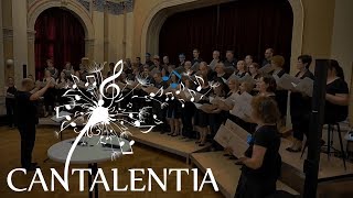 Der alte Barbarossa - F. Silcher/F. Rückert I Cantalentia - A cappella Chor