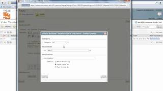 Inserting a Hyperlink into D2L