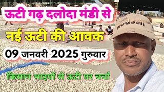 दलोदा मंडी में नई ऊटी लहसुन की आवक,09 जनवरी 2025 गुरुवार