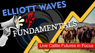 Elliott Waves vs Fundamentals: Live Cattle Futures Commodity in Focus