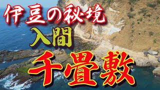 伊豆の秘境、入間千畳敷2023年度版