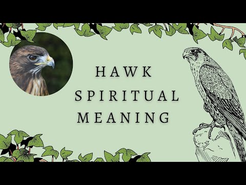 What symbolizes a hawk?