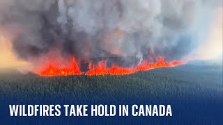 Canada wildfires: People evacuated as 'intense and volatile' blazes spread across British Columbia