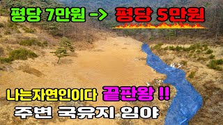 [NO. 265] 나는자연인이다 끝판왕! 국유지로 둘러싼 물좋고 공기좋은 산속끝자락 - 명당부동산