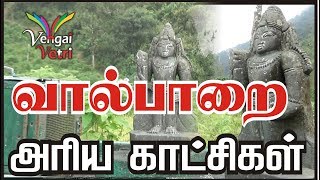 வால்பாறை அரிய காட்சிகள் | Valparai Rare footage