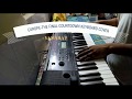 EUROPE-THE FINAL COUNTDOWN song cover on Yamaha PSR-E263