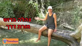 טיול משפחתי לנחל השופט עם אפליקציית TRAVELAYA