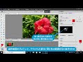 photoshop elements 2019：特定の色を別の色に置き換えるには（色の置き換え）