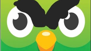 Duolingo PUSH 2
