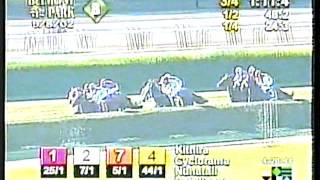 2002 - Belmont Park - Garden City Breeders Cup Handicap (G1) - Wonder Again