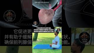 前列腺锻炼 | 50 岁以上男性瑜伽 | 男士瑜伽  #流量 #星座 #正能量 #正能量