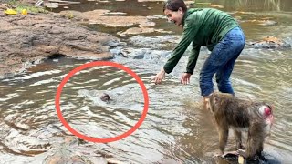 Nui và Poni swims so cute in the stream | Nui Family