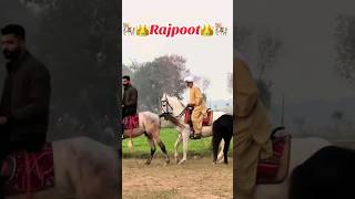 Dadi Nu Puchi Rajputa Baare 🐴 Pakistan Punjab wale Manj Rajput ❤️ #Rai #Rana #rajpoot