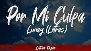 Por Mi Culpa - Lunay (Letras / Lyrics) | Letras Rojas