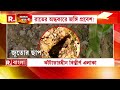 মেদিনীপুর মেডিক্যালে মৃ ত্যু। বিষ স্যালাইনে প্রাণ যায় এই স্যালাইন আগেই নিষিদ্ধ করে কর্ণাটক সরকার