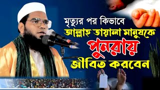 মৃত্যুর পর কিভাবে আল্লাহ তায়ালা মানুষ জীবিত করবেন তার প্রমাণ || এই ঘটনার মাধ্যমে  কোরআন এর তাফসির।