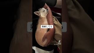 病院へ行った日