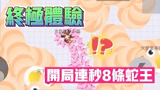 貪吃蛇大作戰2：終極體驗，小蛇開局連秒8條蛇王！