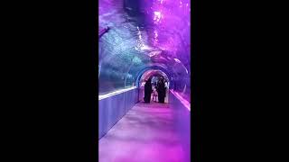 Under water fish tunnel in Mangalore 😍Karavali Utsav ground.Aquarium.