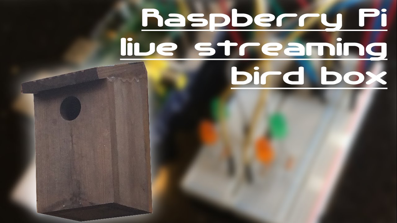 Bird Box Tutorial Youtube