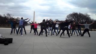 Chaika - Ukrainian Flash Mob at Lincoln Memorial