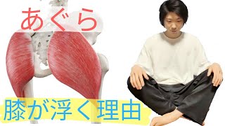 あぐら-膝が浮く、膝が落ちない理由