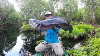 PANEN STRIKE...!!! TOMAN DAN BUJUK RUKUN DI SUNGAI INI, SUNGAI MENGKUANG, KAB. INDRAGIRI HULU, RIAU