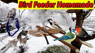 Bird Feeder Homemade / Ev Yapımı Kuş Yemliği / Mangiatoia per uccelli fatta in casa