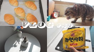 【Daily Vlog】vol.20 #vlog #cooking #cat #dog