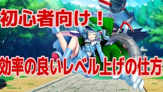 初心者向け効率の良いレベル上げの仕方！(初心者東方ロストワードパート8)