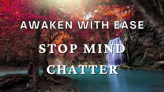 The Spiritual Awakening Process | How To Stop Mind Chatter