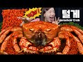 [Mukbang ASMR] Giant Crab 🦀 Horsehair Crab Seafood with  Buldak Ramen Recipe Ssoyoung