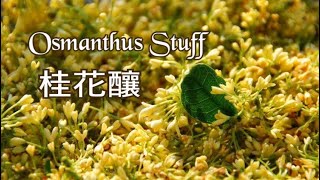 桂花釀｜人閒桂花落｜桂花還可以做什麼？｜Osmanthus Stuff