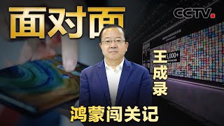 专访华为“鸿蒙之父”王成录，鸿蒙系统是如何诞生的？“纯血”原生鸿蒙有多酷？| CCTV「面对面」