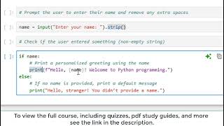 Beginner Python Coding: User Input, Variables & Conditional Statements (Intro to Python)