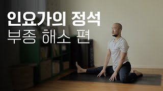 인요가의 정석(부종 해소 편) | 60분 요가 | 요가소년 377