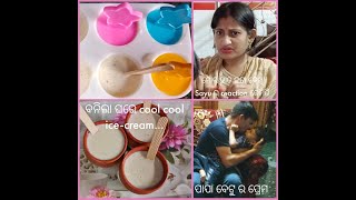 ବନିଲା ଘରେ cool cool  Ice-Cream | ମୋର ହାତ କଟା ଦେଖି Sayu ର reaction କେମିତି